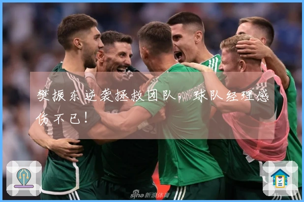 樊振东逆袭拯救团队，球队经理感伤不已！